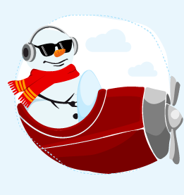 доставка и монтаж уличных елок
